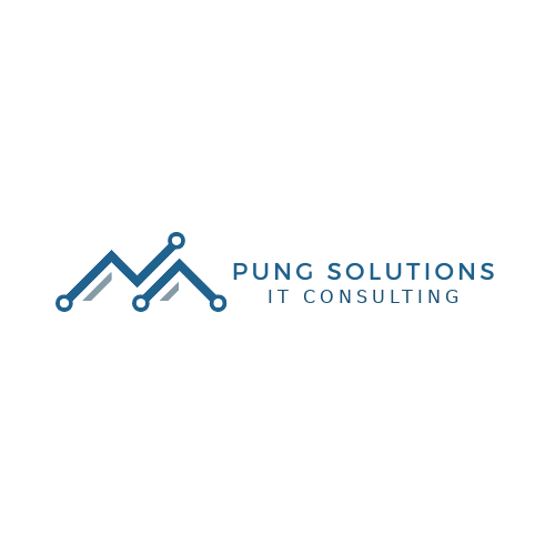Pung Solutions Logo