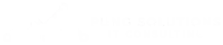 Pung Solutions Logo